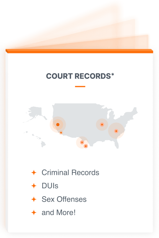 Criminal Records*